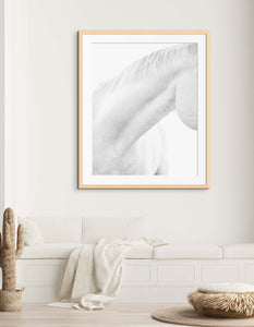White Horse Detail 1