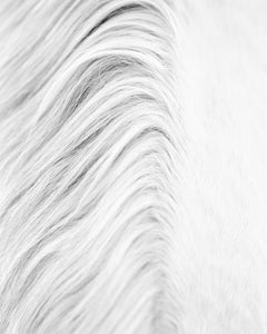 White Horse Detail 2