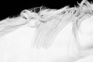 White Horse Detail 6